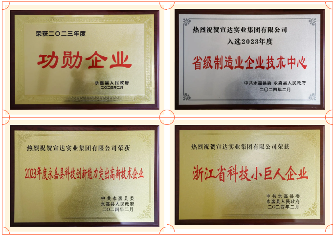 載譽(yù)啟程！宣達(dá)新春喜提四項(xiàng)榮譽(yù)，“龘”響開門紅！